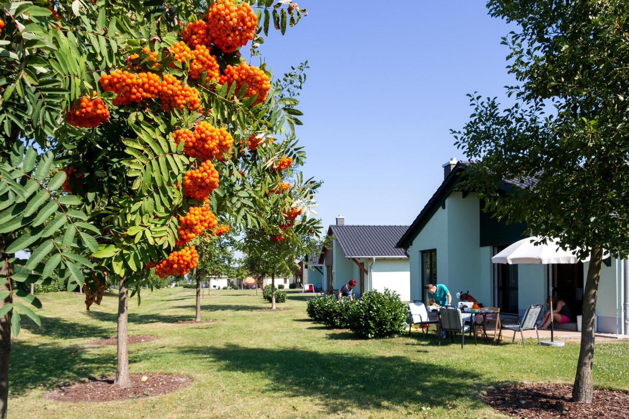 Seepark Auenhain Markkleeberg Quarto foto